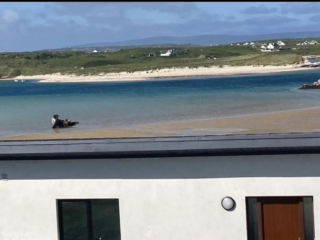 Ostan Gweedore Deluxe Apartments Bunbeg Zewnętrze zdjęcie